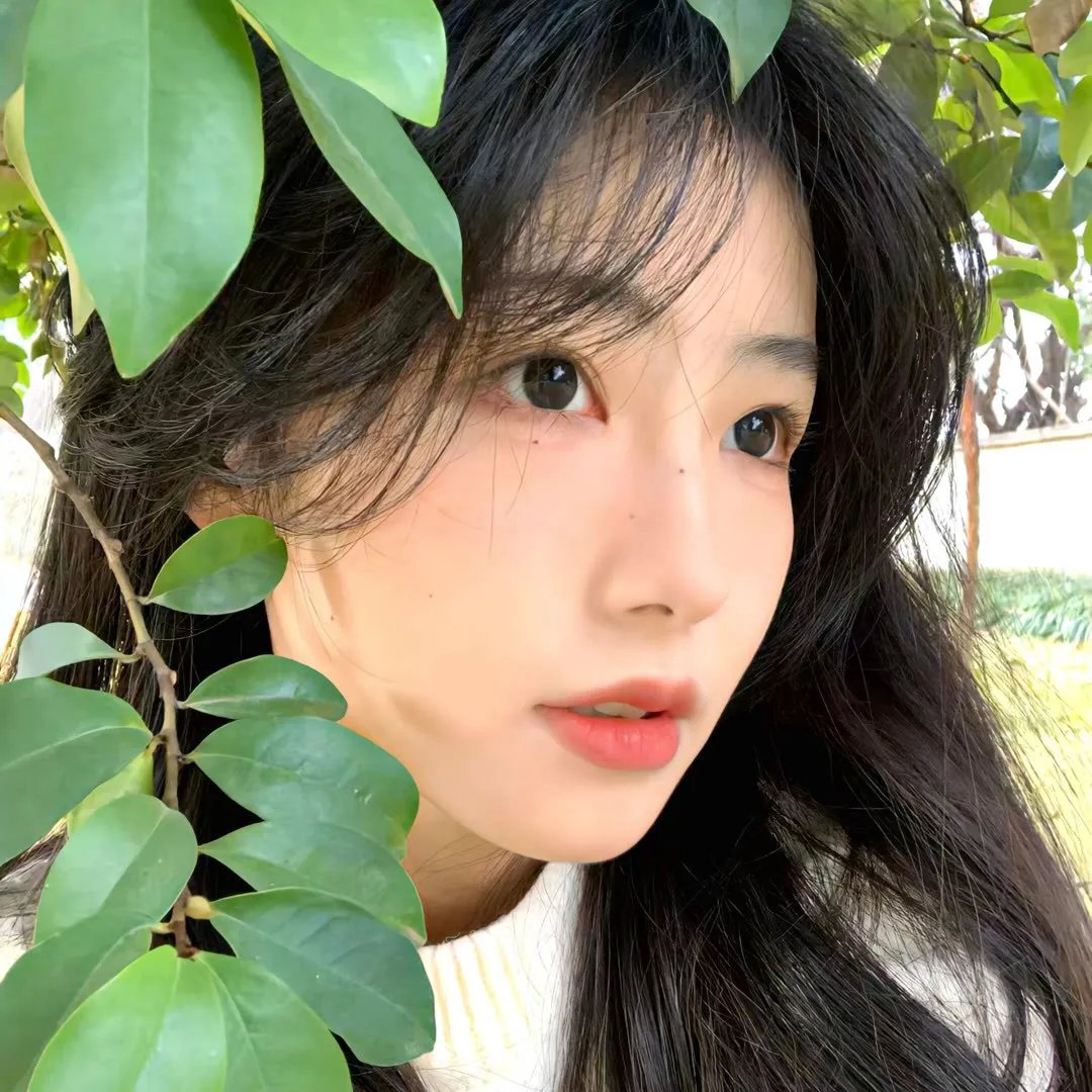 狗尾巴草也是花 封面