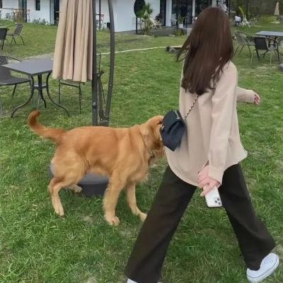 我回来了 封面